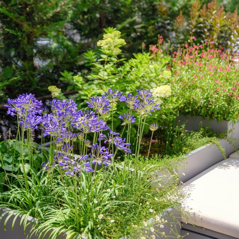 La Terrazza - Private Jacuzzi in Downtown Como - Appartamento con 1 Camera da Letto - 7