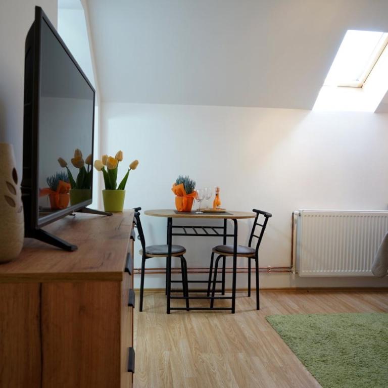 Apartman dream - Apartman sa 1 Spavaćom Sobom - 7