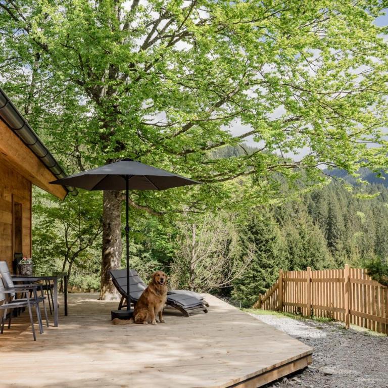 Hütte Neuhaus - Haus mit 1 Schlafzimmer - 11