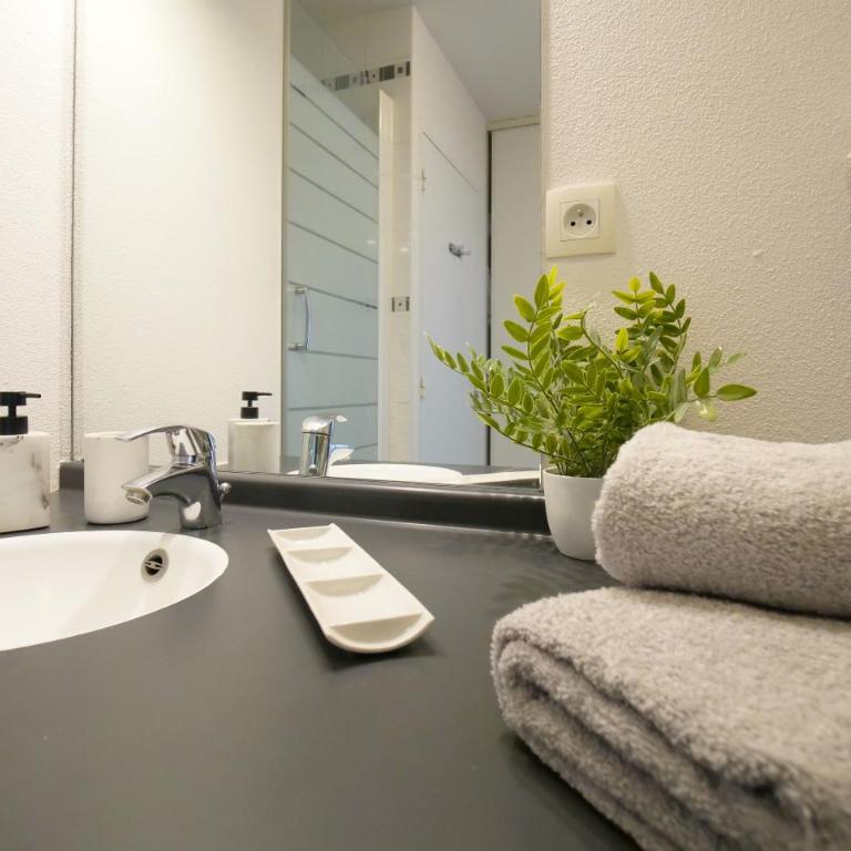 La Blanche Hermine - city center - parking - Appartement 2 Chambres - 24