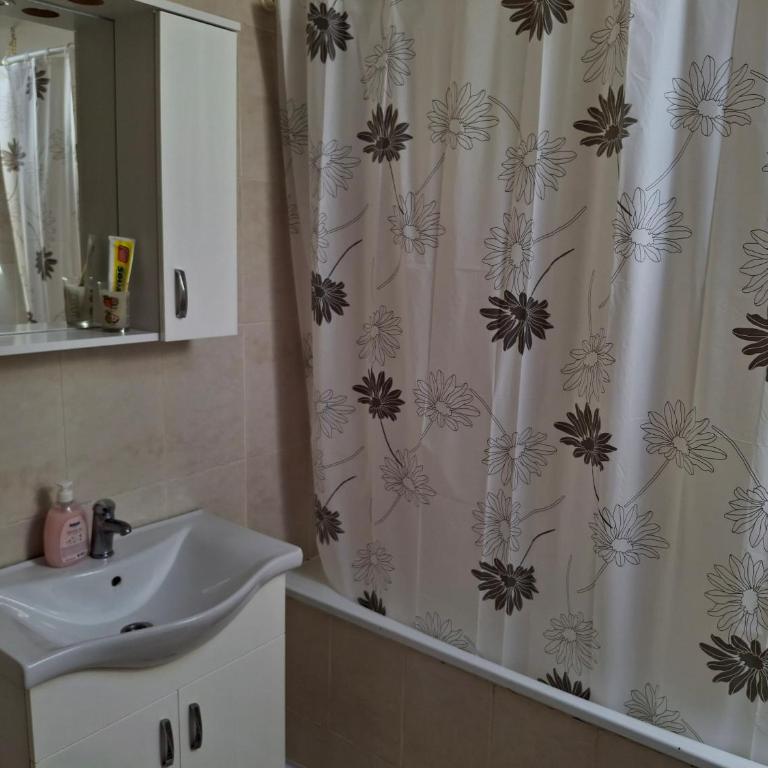 Alisa - Apartman sa 1 Spavaćom Sobom - 10