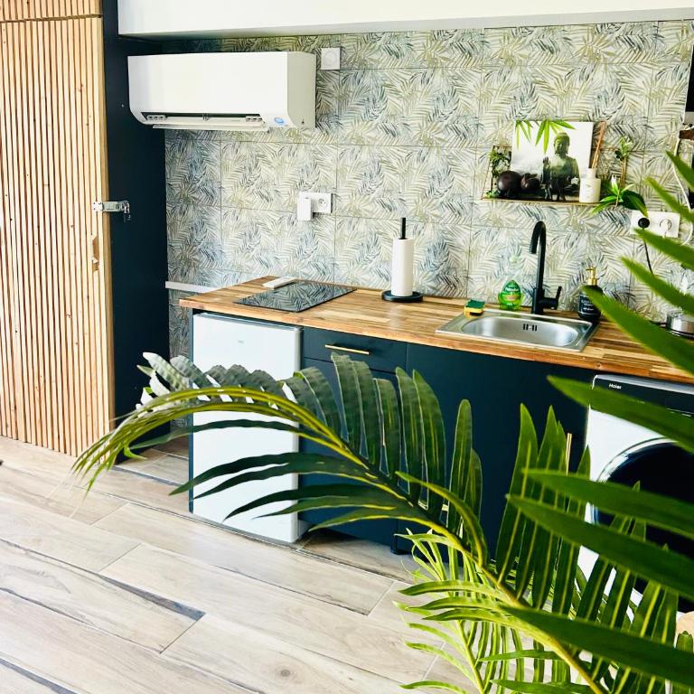Jungle Love Loveroom avec Balnéo à 10 min de Disneyland Paris - Apartamento de 1 dormitorio - 7