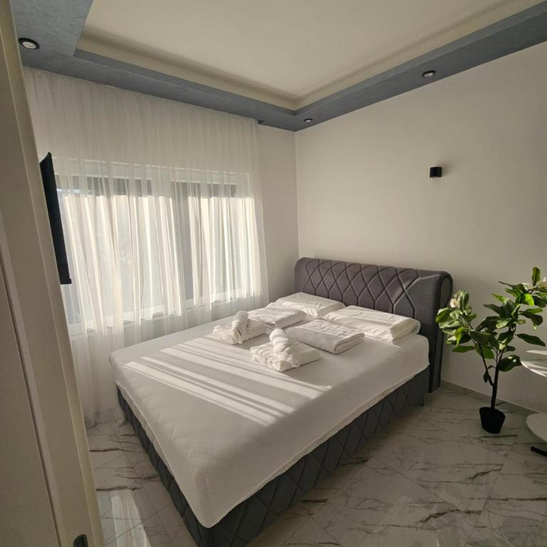 Apartman Katalina - Apartman sa 1 Spavaćom Sobom - 8