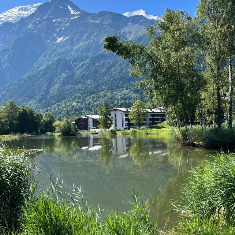 NEW Lac Chavants apartment - 4 beds - Appartement 1 Chambre avec Balcon et Vue sur les Montagnes - 9