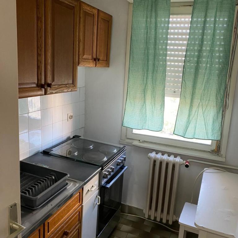 Apartman Popovic Novi Sad - Apartman sa 1 Spavaćom Sobom - 6