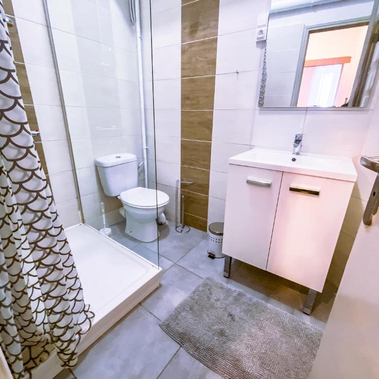 Bel appartement Béziers - Plain-pied - Centre - IUT - Appartement 1 Chambre - 7
