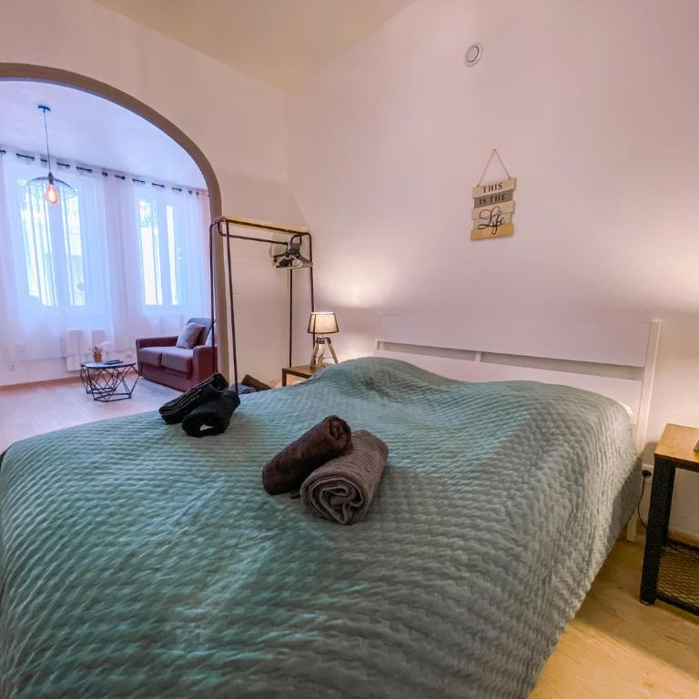 Bel appartement Béziers - Plain-pied - Centre - IUT - Appartement 1 Chambre - 23
