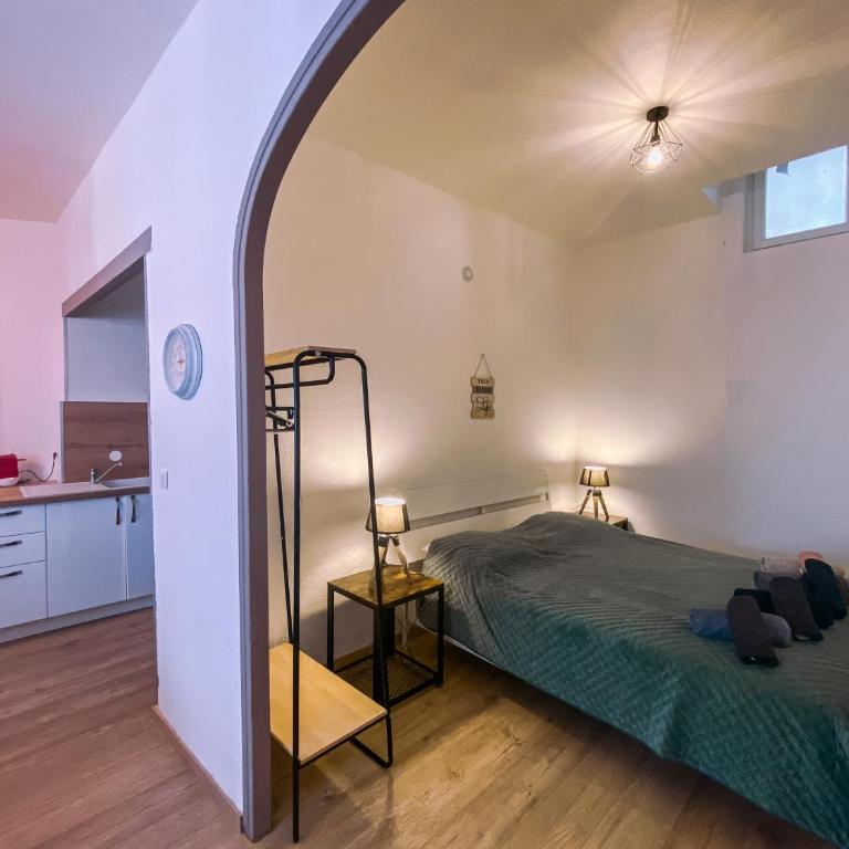 Bel appartement Béziers - Plain-pied - Centre - IUT - Appartement 1 Chambre - 3