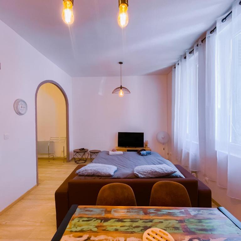 Bel appartement Béziers - Plain-pied - Centre - IUT - Appartement 1 Chambre - 10