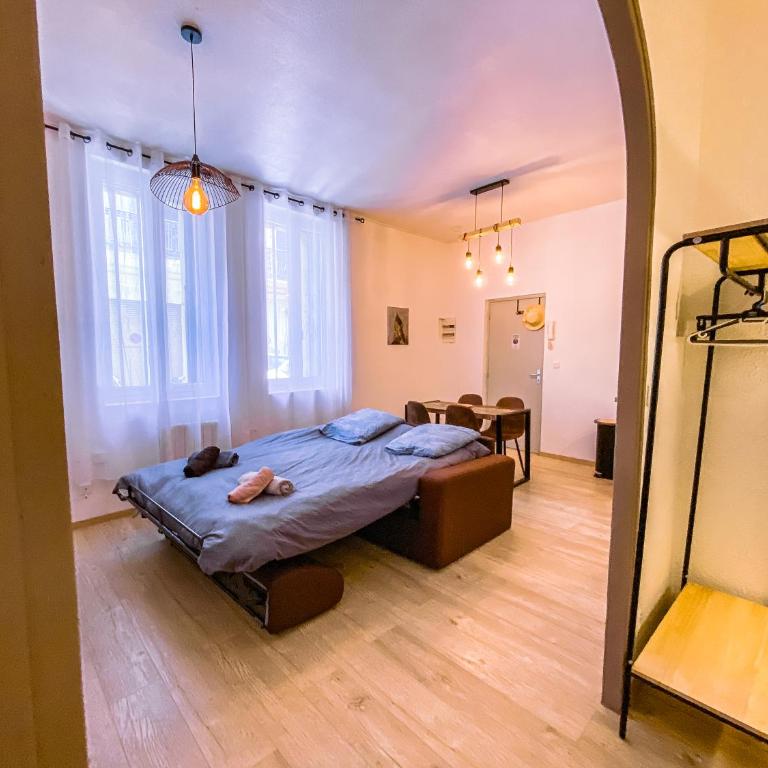 Bel appartement Béziers - Plain-pied - Centre - IUT - Appartement 1 Chambre - 30