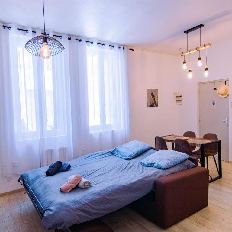 Bel appartement Béziers - Plain-pied - Centre - IUT - Appartement 1 Chambre - 17