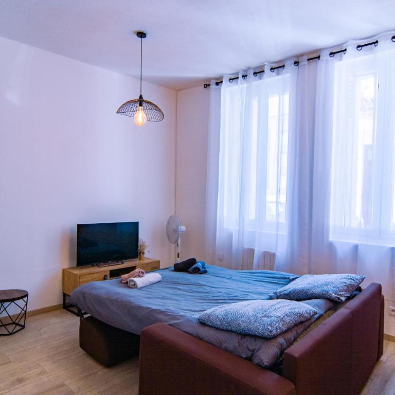 Bel appartement Béziers - Plain-pied - Centre - IUT - Appartement 1 Chambre - 58