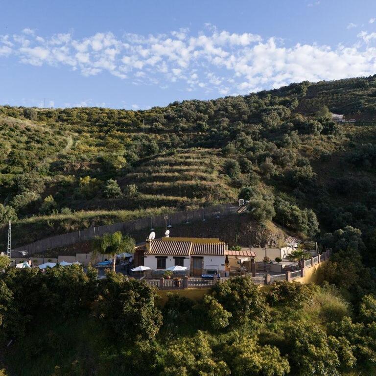 Cortijo de Carmen - Lujo Rustico en el Corazon de la Montaña - Villa - 14