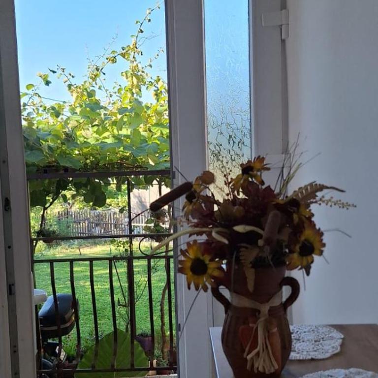 Apartments Aurora - Apartman - Prizemlje - 14
