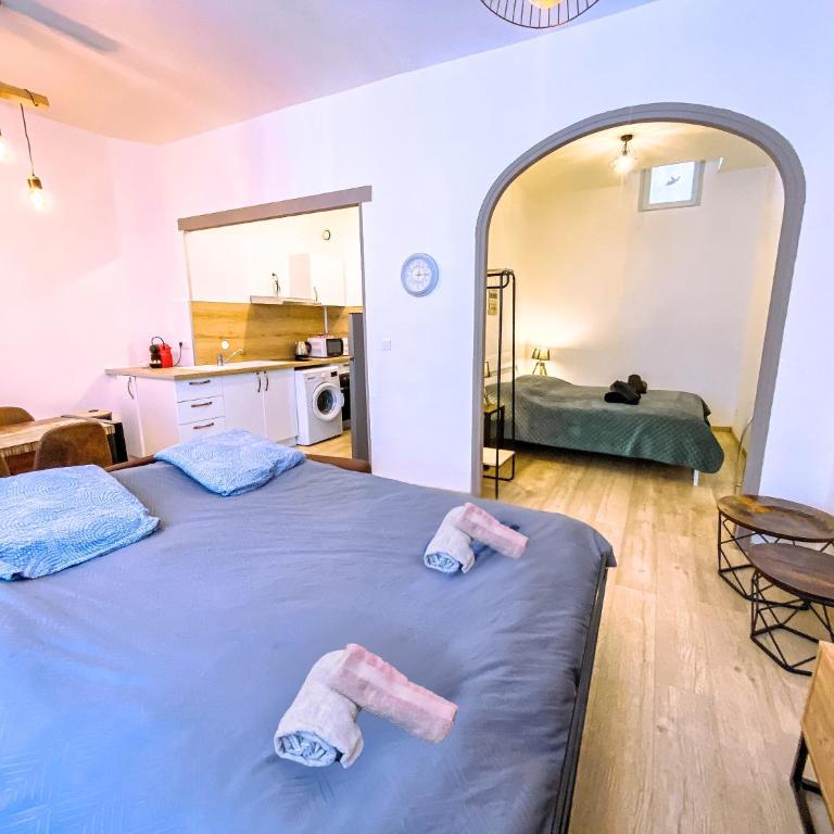 Bel appartement Béziers - Plain-pied - Centre - IUT - Appartement 1 Chambre - 14