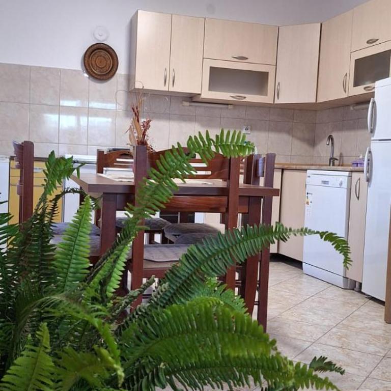 Apartments Aurora - Apartman - Prizemlje - 12