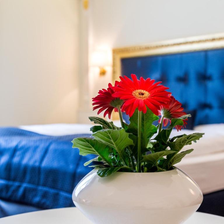 Windsor Merano Hotel & Suites - Junior Suite Deluxe - 3