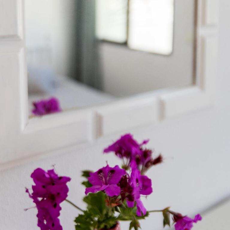 Torremolinos Carihuela Apartament - Apartamento de 1 dormitorio con terraza - 25