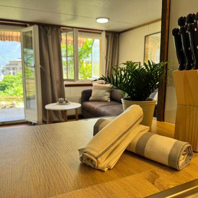 River 1 - Retreat with Iconic Jungfraujoch View - Apartment mit 1 Schlafzimmer - 15
