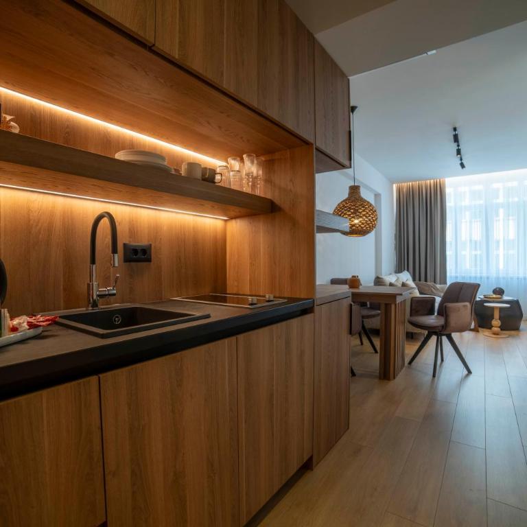 Four Elements Apartments - Deluxe One-Bedroom Apartment with City View - 12