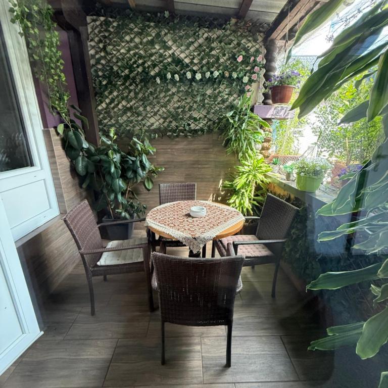 HOSTEL LOVELY ROOMS CITY CENTER, shared Bathroom - Economy Quadruple Room with Shared Bathroom - 19