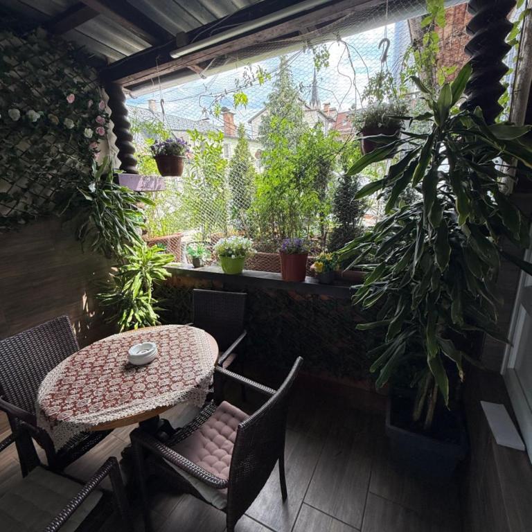 HOSTEL LOVELY ROOMS CITY CENTER, shared Bathroom - Economy Quadruple Room with Shared Bathroom - 18