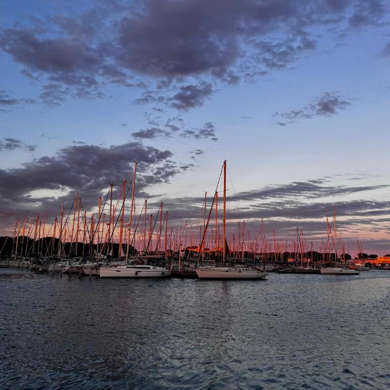 Marina Port Camargue - Apartment mit 2 Schlafzimmern - 7