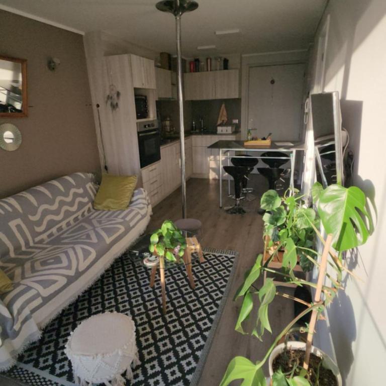 Cozy and nice apartment - One-Bedroom Apartment - 4