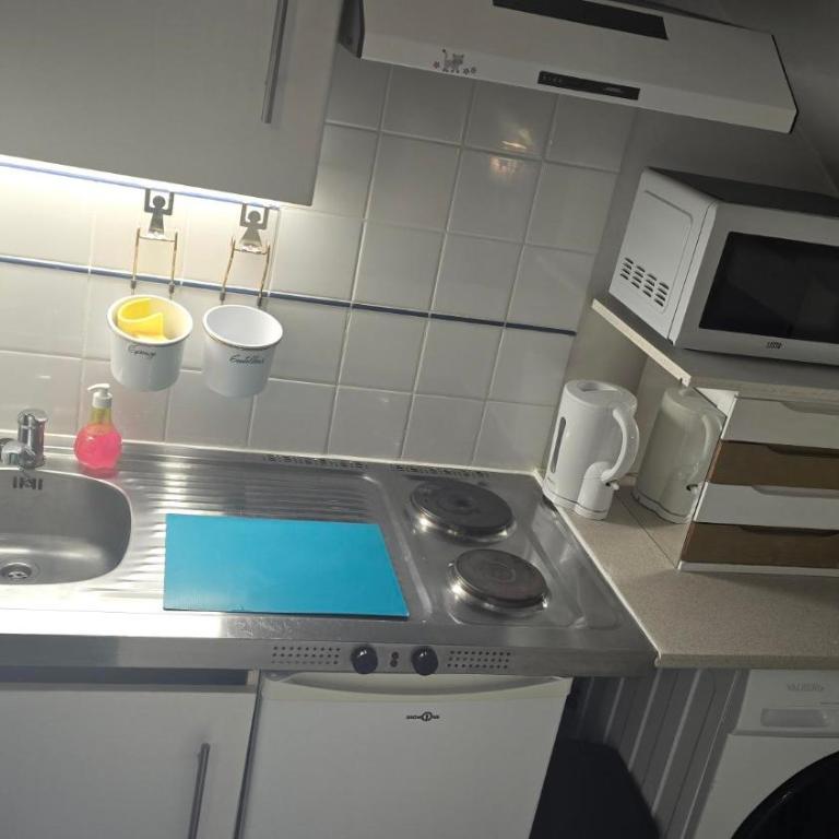 Petit Appartement Nantais - Appartement 1 Chambre - 38