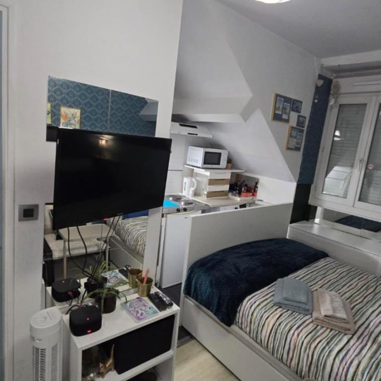Petit Appartement Nantais - Appartement 1 Chambre - 39