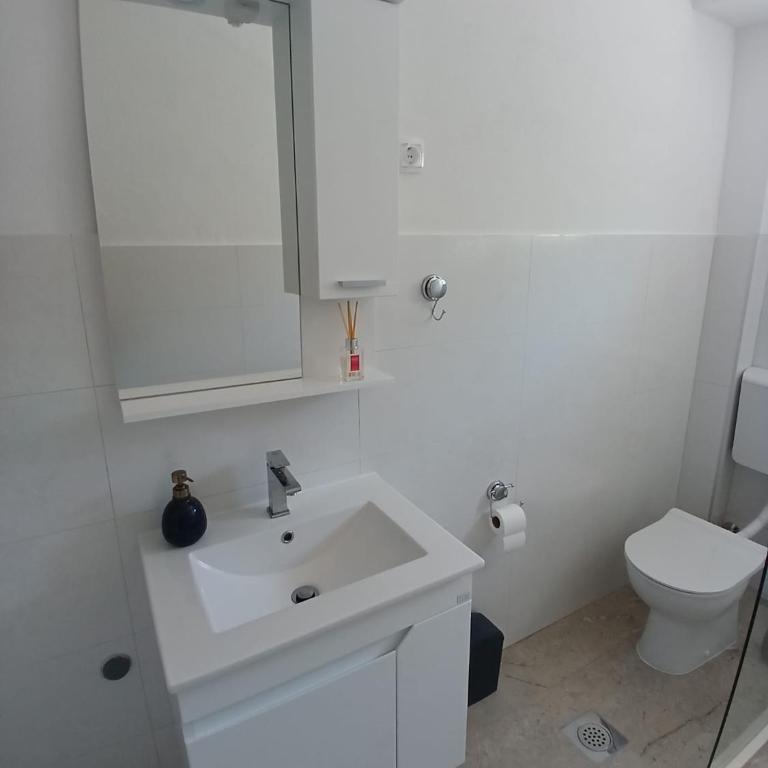 Apartman Nedeljka - Apartman sa 1 Spavaćom Sobom - 11