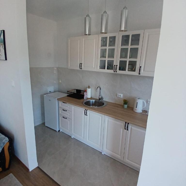 Apartman Nedeljka - Apartman sa 1 Spavaćom Sobom - 5