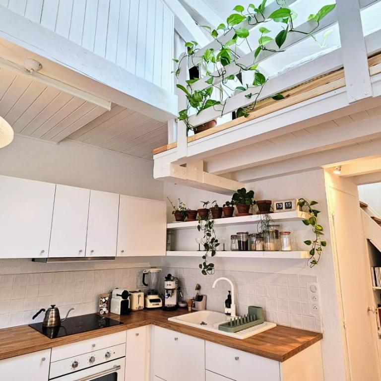 Petit nid au cœur du centre historique d'Annecy - Apartment mit 1 Schlafzimmer – Nichtraucher - 4