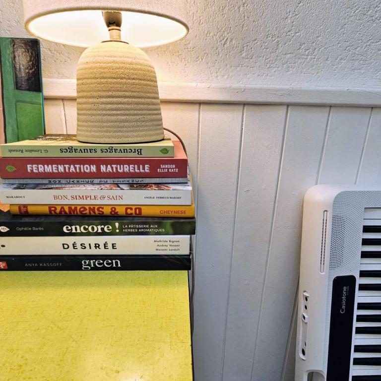 Petit nid au cœur du centre historique d'Annecy - Apartment mit 1 Schlafzimmer – Nichtraucher - 29