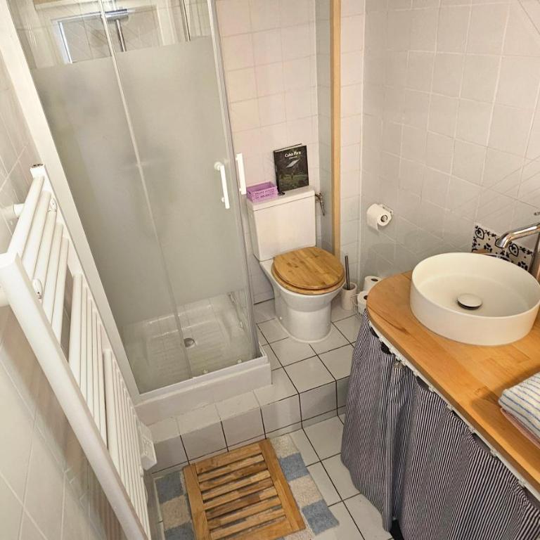 Petit nid au cœur du centre historique d'Annecy - Apartment mit 1 Schlafzimmer – Nichtraucher - 50