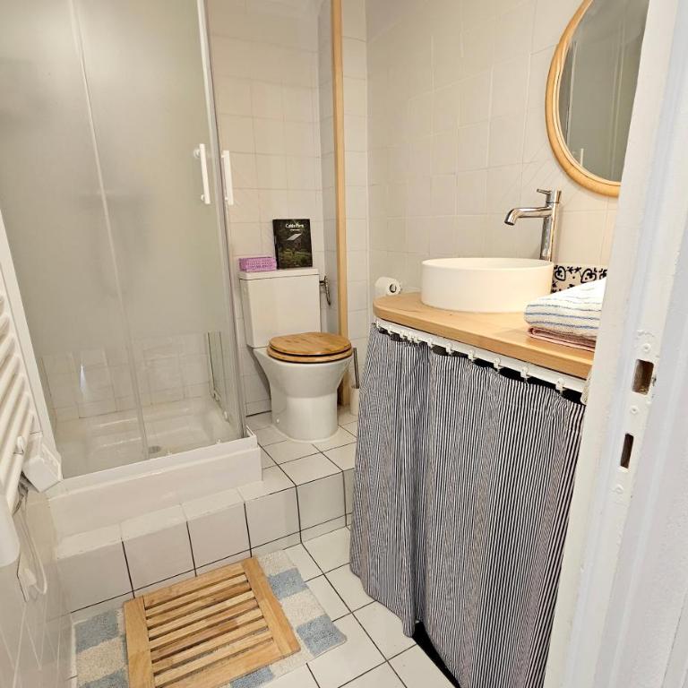 Petit nid au cœur du centre historique d'Annecy - Apartment mit 1 Schlafzimmer – Nichtraucher - 49