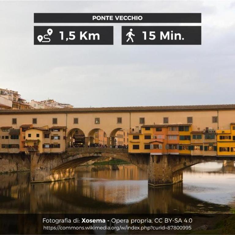 Ridolfi's House - Appartamento con 3 Camere da Letto - 3