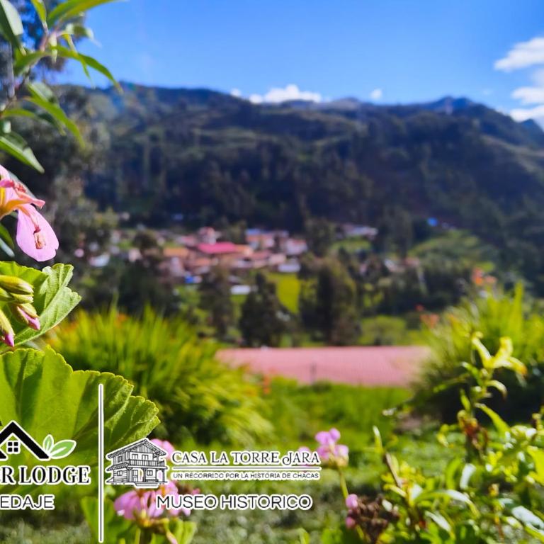 Mirador Lodge - Double or Twin Room - 11