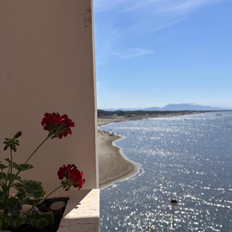 Palastura Apartments - Studio with Sea View (4 Adults) - 4