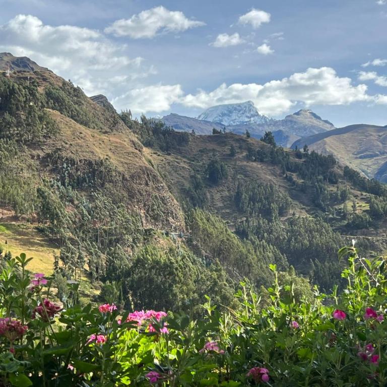 Mirador Lodge - Double or Twin Room - 5