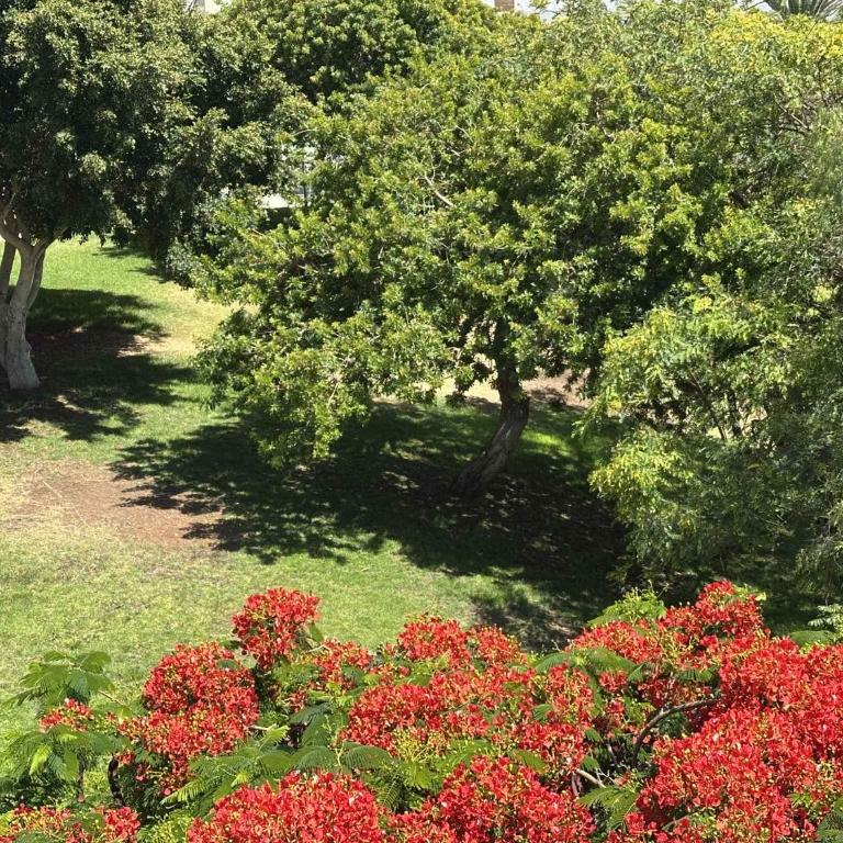 Las Brisas SEAVIEW - Costa Adeje - Apartamento de 2 dormitorios - 48