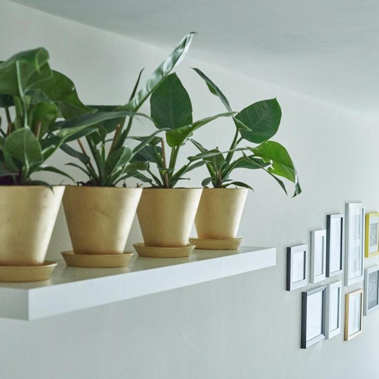 Vibes Departament Cdmx - Three-Bedroom Apartment - 21