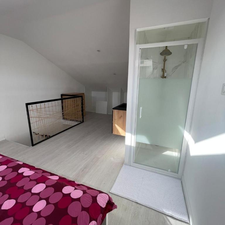 Duplex appartement - Appartement 1 Chambre - 11