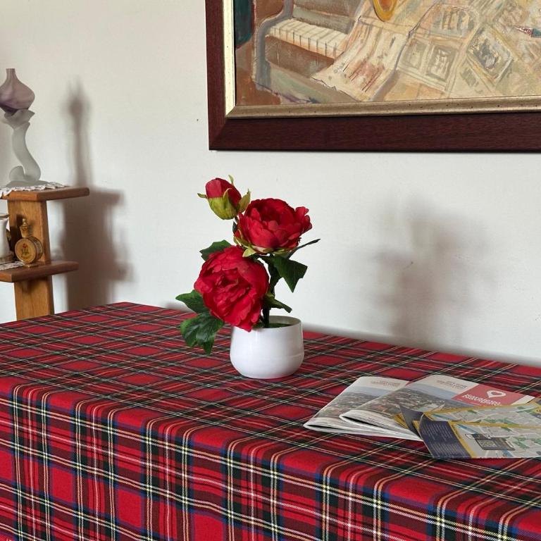 Brick Apartment & Free Parking - Apartman sa 2 Spavaće Sobe - 17