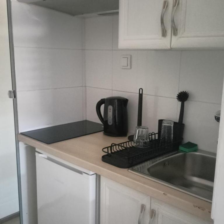 Ogi apartment Beograd - One-Bedroom Apartment - 2
