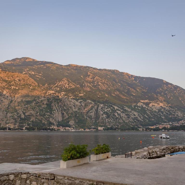 Apartments Račić - Studio with Sea View - 15