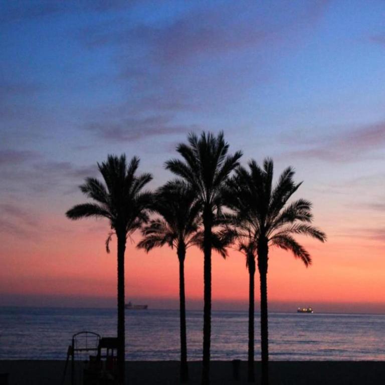 Apartment by Roquetas Beach - Two-Bedroom Apartment - 37