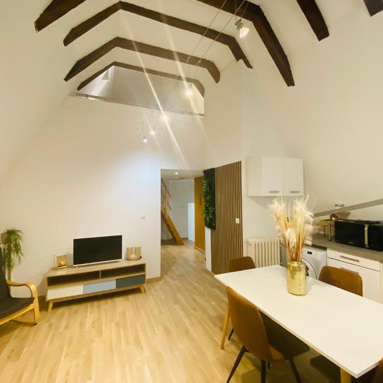 Le Colibri, Spacieux T2 bis avec mezzanine, calme et central à Poitiers - Appartement 2 Chambres - 20