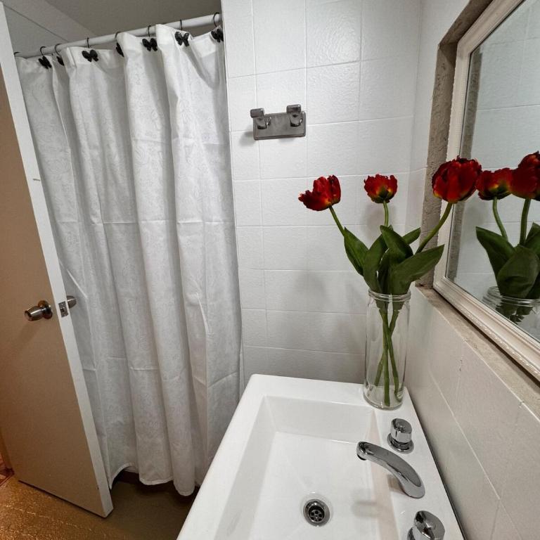 Departamento pleno centro - Apartamento de 1 dormitorio - 11