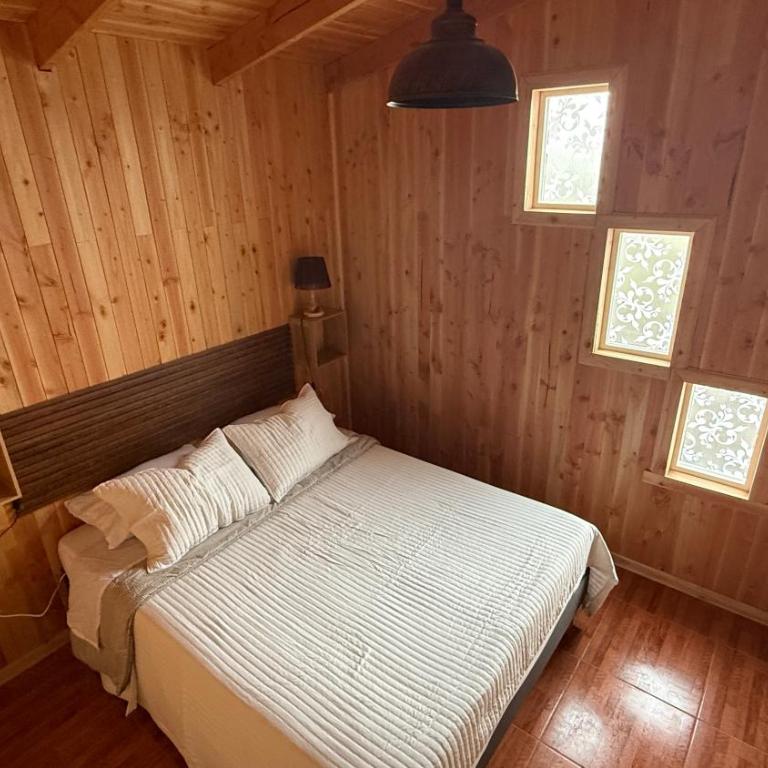 Cabañas y tinajas Filkun - One-Bedroom Apartment - 4